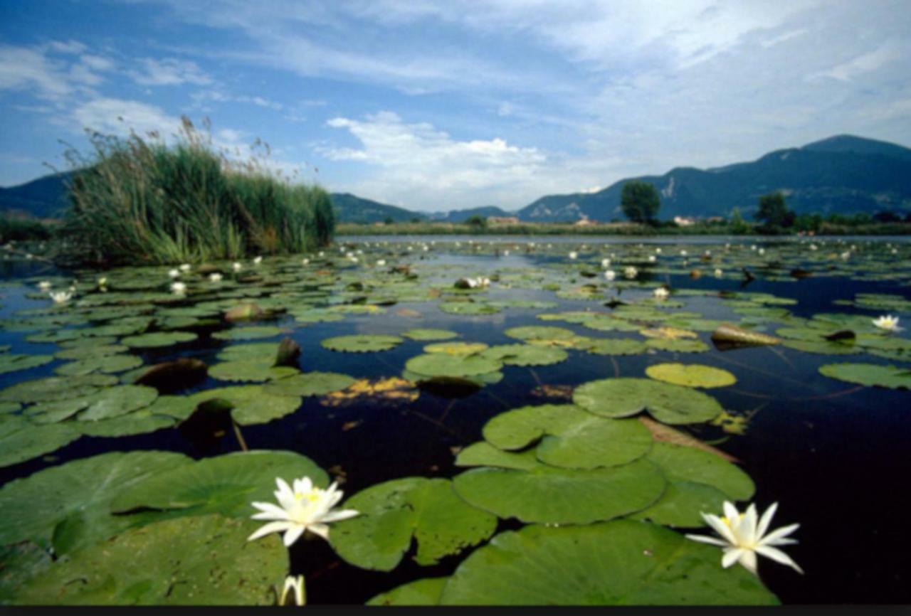 Iseo Lake Home Nature & Relax Luaran gambar